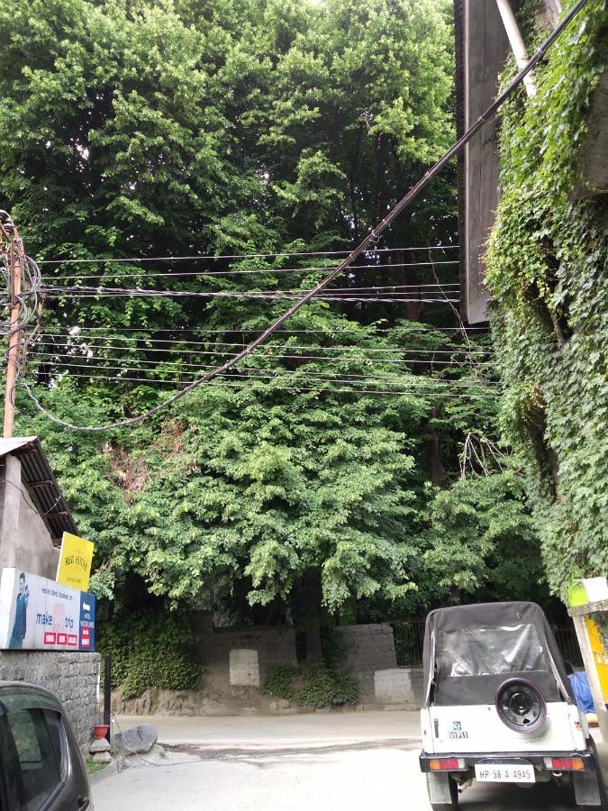 Wood Lines Near Mall Road Guest house Manali (Himachal Pradesh)